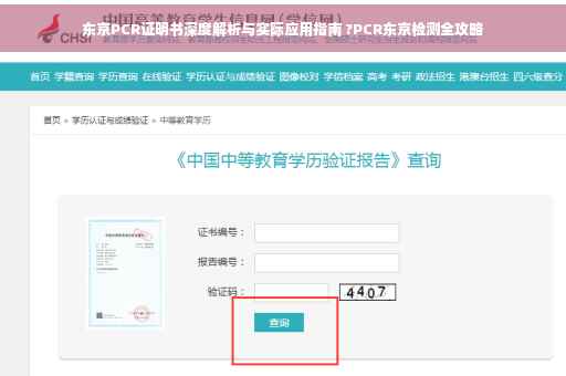 东京PCR证明书深度解析与实际应用指南 ?PCR东京检测全攻略