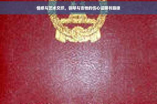 情感与艺术交织，钢琴与吉他的伤心证明书旋律