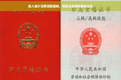 收入减少证明造假揭秘，现实与法律的复杂交织