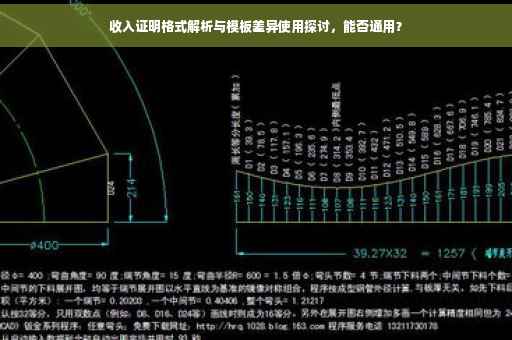 收入证明格式解析与模板差异使用探讨，能否通用？