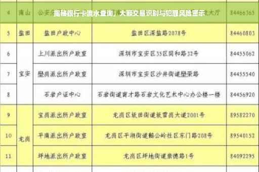 揭秘银行卡流水查询，大额交易识别与犯罪风险警示