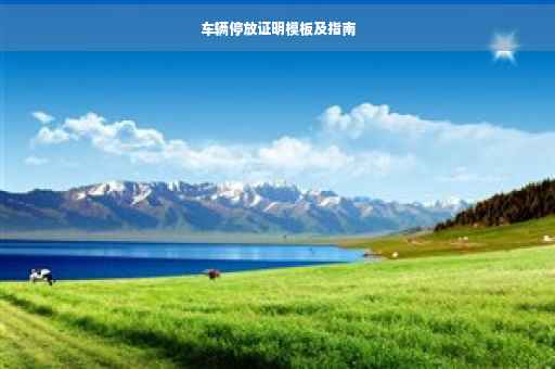 车辆停放证明模板及指南