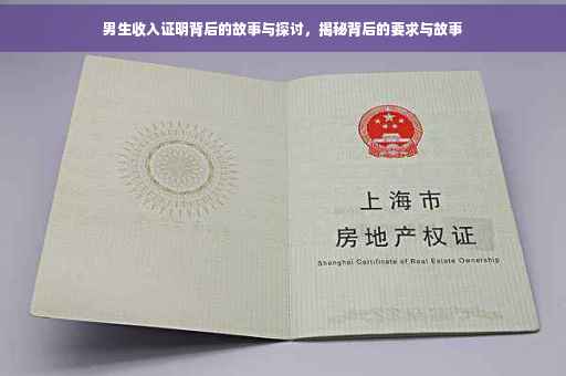男生收入证明背后的故事与探讨，揭秘背后的要求与故事