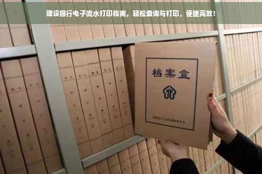 建设银行电子流水打印指南，轻松查询与打印，便捷高效！