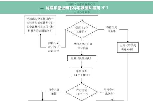 鼻癌诊断证明书详解及图片指南 ?⚡️
