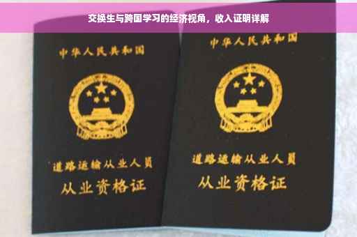 交换生与跨国学习的经济视角，收入证明详解