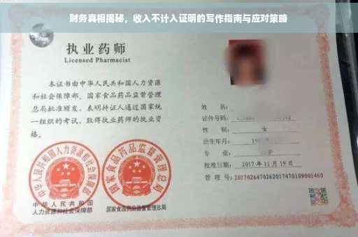 财务真相揭秘，收入不计入证明的写作指南与应对策略