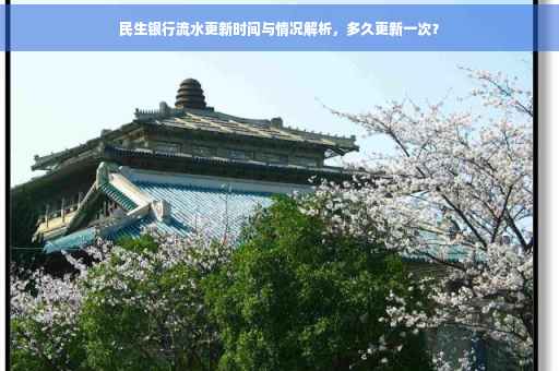 民生银行流水更新时间与情况解析，多久更新一次？