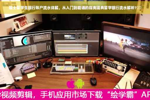 瑞士留学生银行账户流水详解，从入门到精通的指南瑞典留学银行流水解析?⚡️