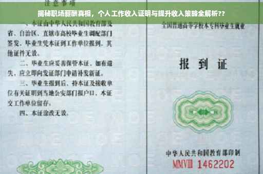 揭秘职场薪酬真相，个人工作收入证明与提升收入策略全解析??