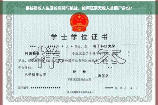 揭秘零收入生活的真相与挑战，如何证明无收入贫困户身份？