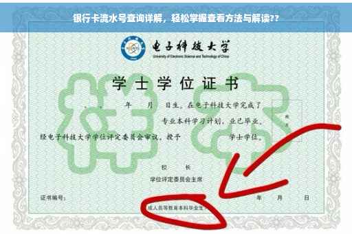 银行卡流水号查询详解，轻松掌握查看方法与解读??