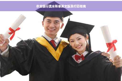 农业银行流水账单英文版及打印指南