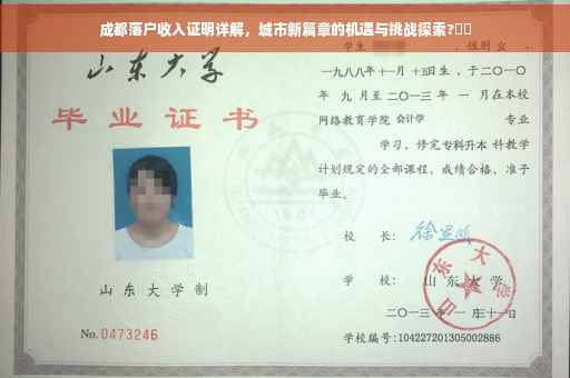 成都落户收入证明详解，城市新篇章的机遇与挑战探索?⚡️