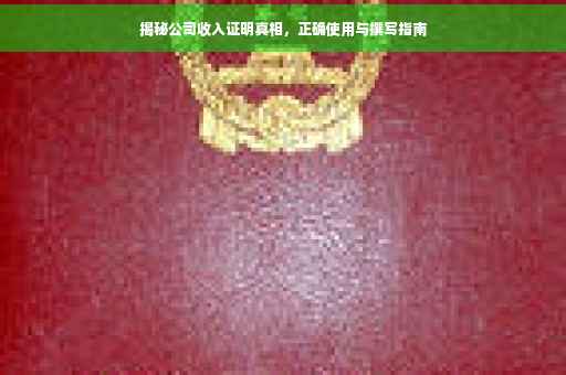 揭秘公司收入证明真相，正确使用与撰写指南
