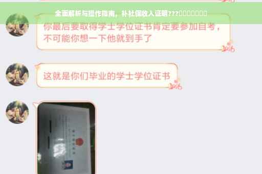 全面解析与操作指南，补社保收入证明???​​​​​​​