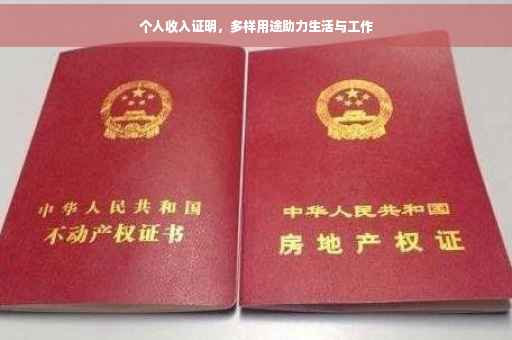 个人收入证明，多样用途助力生活与工作