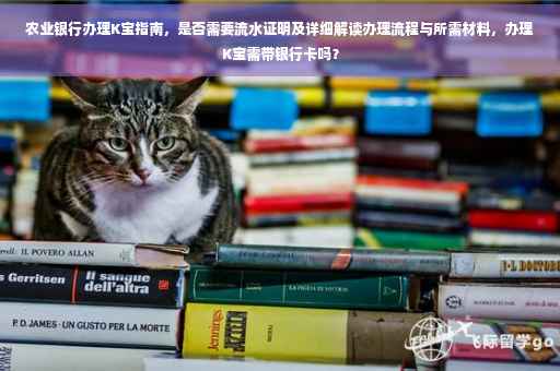 农业银行办理K宝指南，是否需要流水证明及详细解读办理流程与所需材料，办理K宝需带银行卡吗？