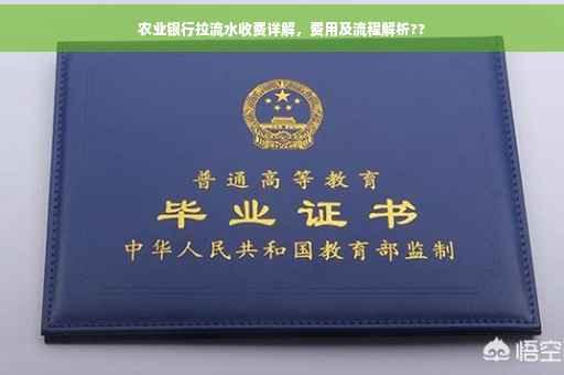 农业银行拉流水收费详解，费用及流程解析??