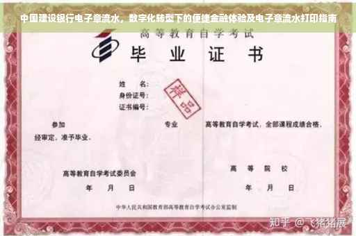 中国建设银行电子章流水，数字化转型下的便捷金融体验及电子章流水打印指南