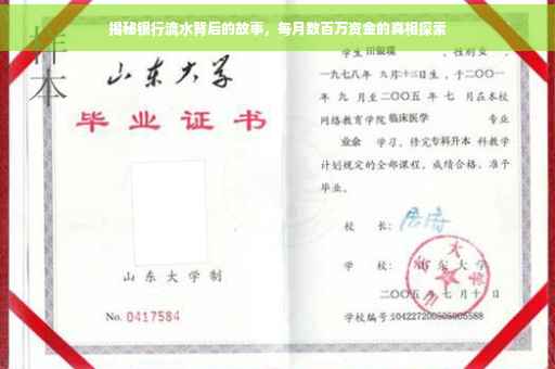 揭秘银行流水背后的故事，每月数百万资金的真相探索