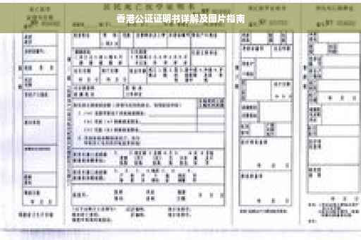香港公证证明书详解及图片指南