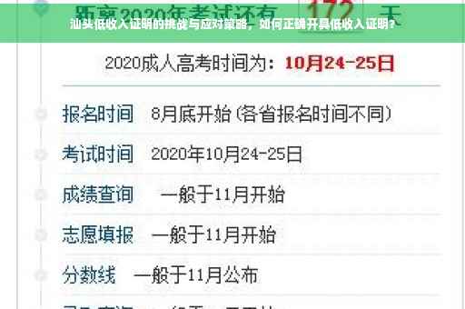 汕头低收入证明的挑战与应对策略，如何正确开具低收入证明？