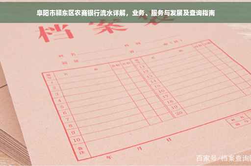 阜阳市颍东区农商银行流水详解，业务、服务与发展及查询指南