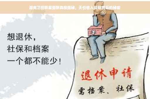 湖南卫视明星薪酬真相揭秘，天价收入证明背后的秘密