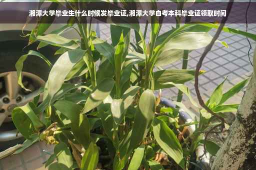 湘潭大学毕业生什么时候发毕业证,湘潭大学自考本科毕业证领取时间