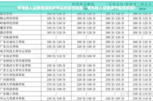 揭秘收入证明担保机制背后的信任链条，谁为收入证明提供有效担保？