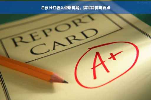 合伙分红收入证明详解，撰写指南与要点