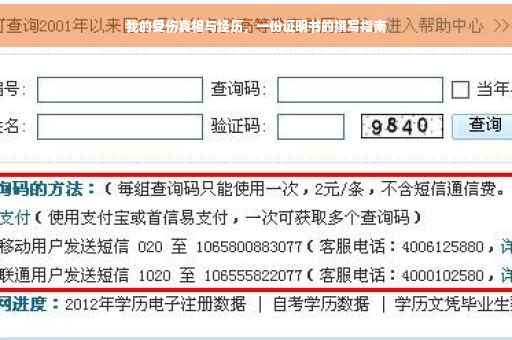 我的受伤真相与经历，一份证明书的撰写指南