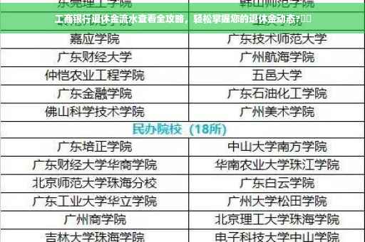 工商银行退休金流水查看全攻略，轻松掌握您的退休金动态?⚡️