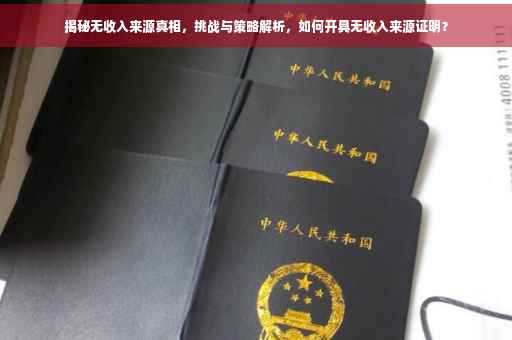 揭秘无收入来源真相，挑战与策略解析，如何开具无收入来源证明？