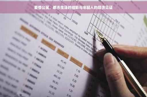爱情公寓，都市生活的缩影与年轻人的经济见证