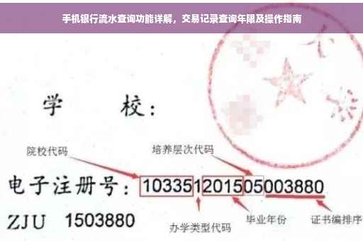 手机银行流水查询功能详解，交易记录查询年限及操作指南