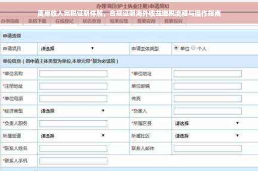 离岸收入完税证明详解，合规证明海外收益缴税流程与操作指南
