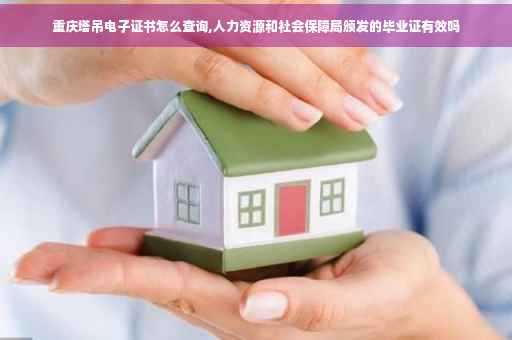重庆塔吊电子证书怎么查询,人力资源和社会保障局颁发的毕业证有效吗