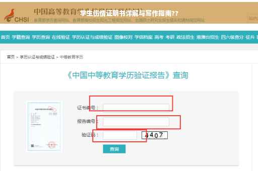 学生伤情证明书详解与写作指南??