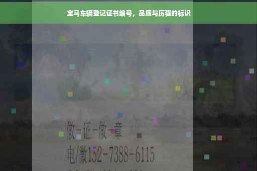 宝马车辆登记证书编号，品质与历程的标识