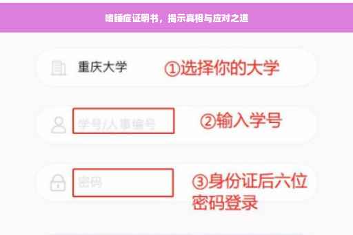 嗜睡症证明书，揭示真相与应对之道