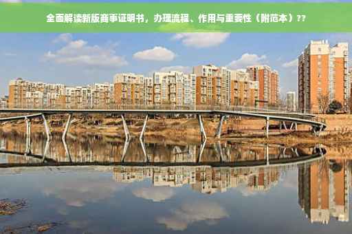 全面解读新版商事证明书，办理流程、作用与重要性（附范本）??