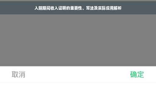 入院期间收入证明的重要性、写法及实际应用解析