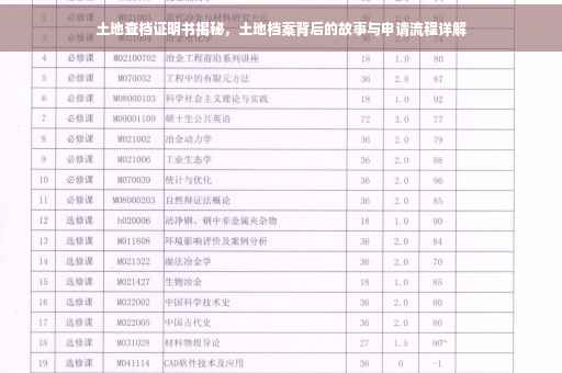 土地查档证明书揭秘，土地档案背后的故事与申请流程详解