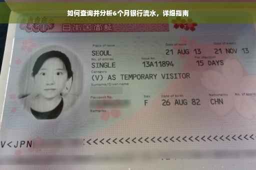 如何查询并分析6个月银行流水，详细指南
