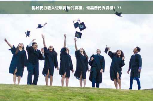揭秘代办收入证明背后的真相，谁具备代办资格？??