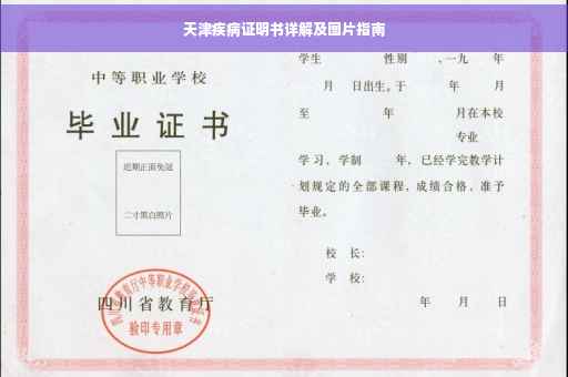 天津疾病证明书详解及图片指南