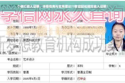 个体打收入证明，详细指南与实用建议??教你轻松搞定收入证明！
