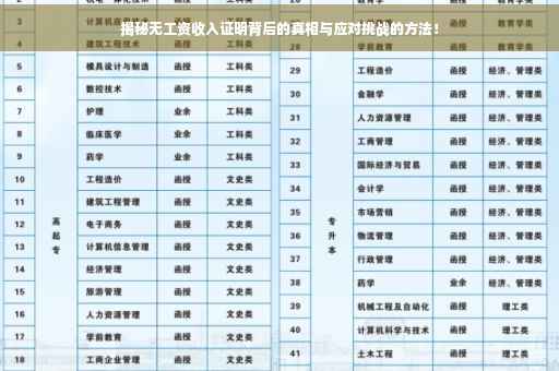 揭秘无工资收入证明背后的真相与应对挑战的方法！